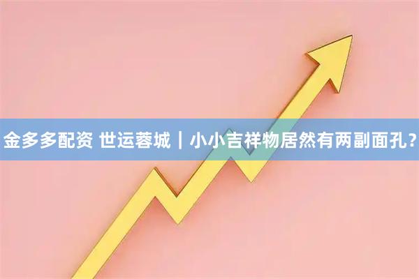 金多多配资 世运蓉城｜小小吉祥物居然有两副面孔？