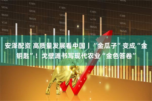 安泽配资 高质量发展看中国丨“金瓜子”变成“金钥匙”！戈壁滩书写现代农业“金色答卷”