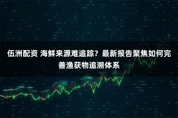 伍洲配资 海鲜来源难追踪？最新报告聚焦如何完善渔获物追溯体系