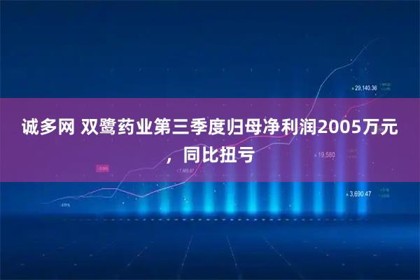 诚多网 双鹭药业第三季度归母净利润2005万元，同比扭亏